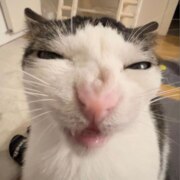 Абдулина Мария Владимировна