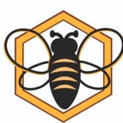 Пайкина Галина Сергеевна