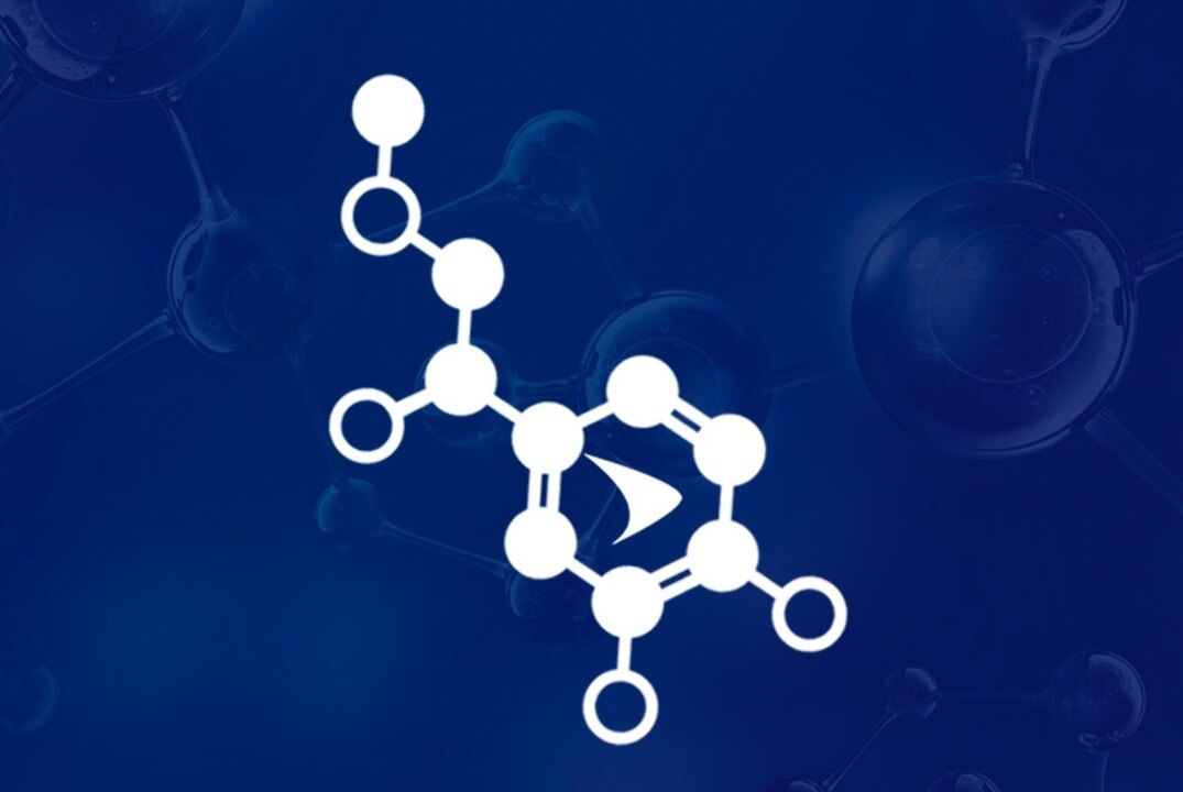 Собрание координаторов и Совета СНО СевГУ 2025