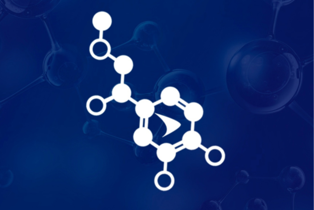 Собрание СНО СевГУ