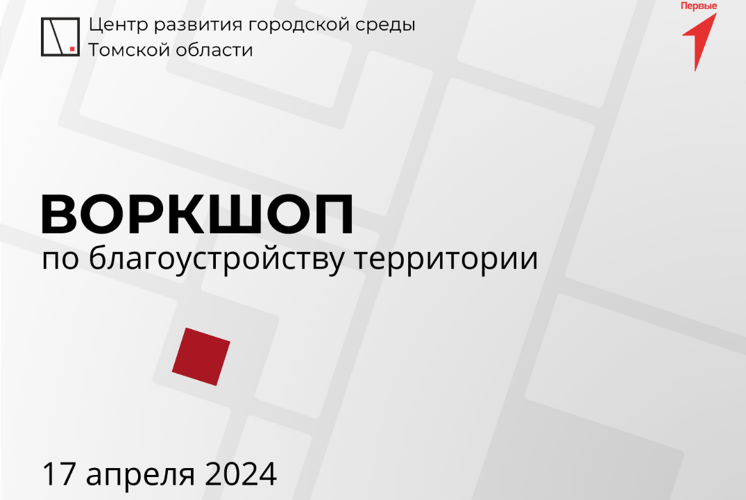 Воркшоп с участниками "Движения Первых" по благоустройств...