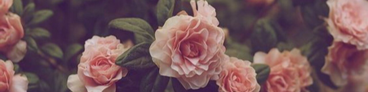 Обложка профиля