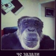 Мифтяев Аскар Русланович Мифтяев Аскар Русланович
