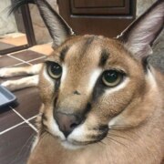 Кузнецов Павел Михайлович