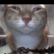 Крижановский Антон Васильевич