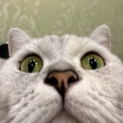 Егорова Елизавета Романовна