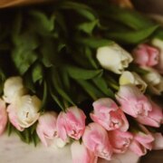 Кулибаба Анна Кулибаба Анна