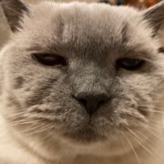 Журавлева Вика