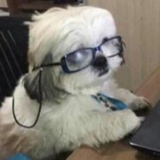 Каушанская Полина