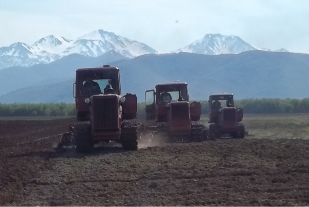 Перспективы сельского хозяйства в Камчатском крае
