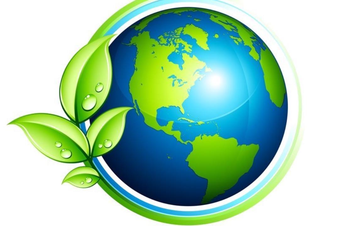 Экоквиз: Проверь свои знания о планете!