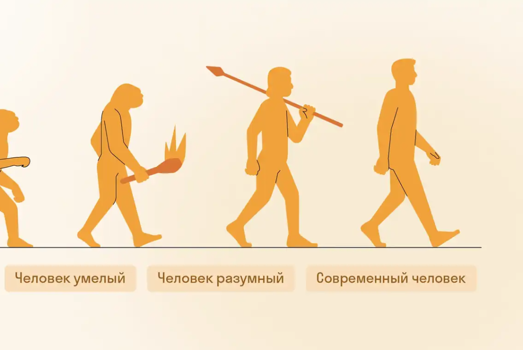 Антропогенез: эволюция Человека