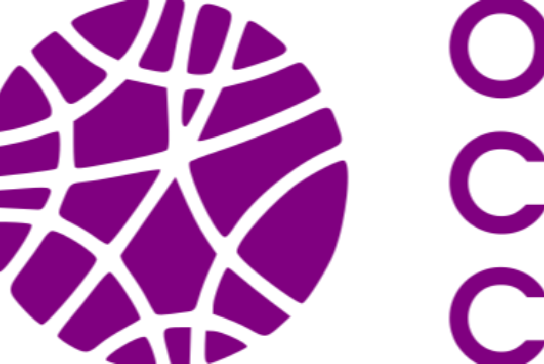 Проект 467681-2 "Культурные проекты". Встреча 1: Обсуждение идей проекта