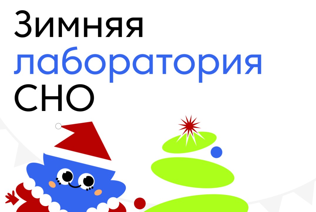 Зимняя лаборатория СНО