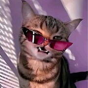 Богидаева Дарья Сергеевна