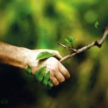 Мяличкин Евгений Владимирович