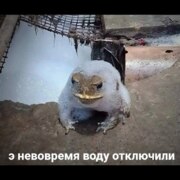 Коптев Михаил Александрович