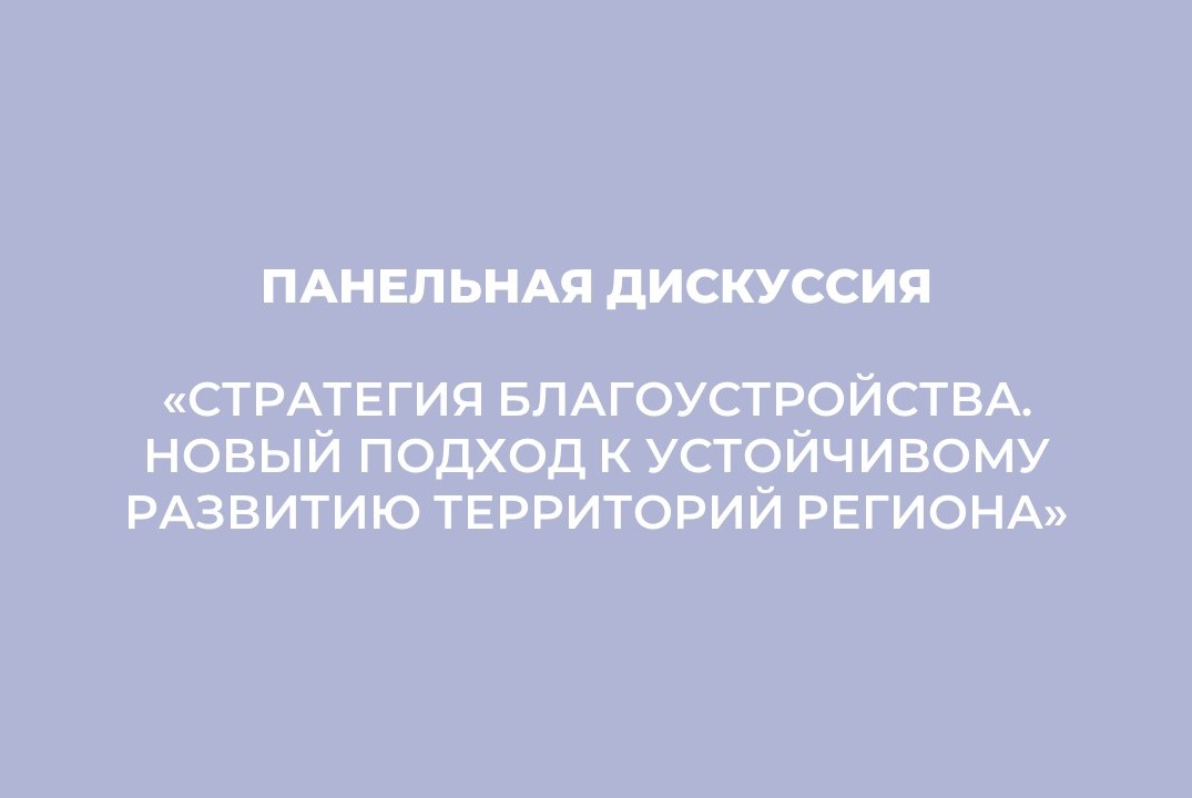 Панельная дискуссия «Стратегия благоустройства. Новый под...