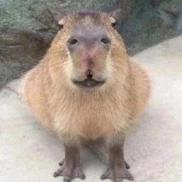 Сеитова Ралина Руслановна