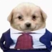 Белозеров Владислав Иванович