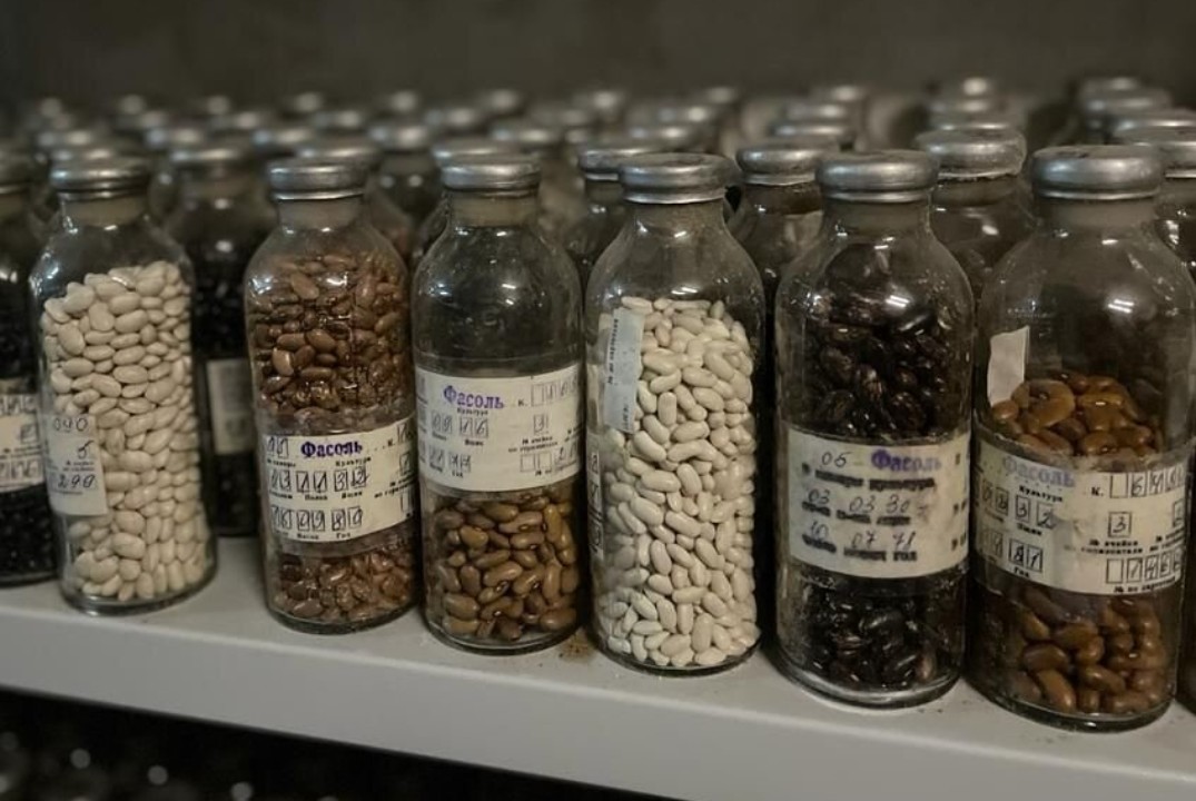 Лекция-визуализация "Хранение семян, способы подготовки к...