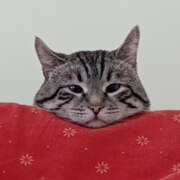 Заярко Елизавета Андреевна Заярко Елизавета Андреевна