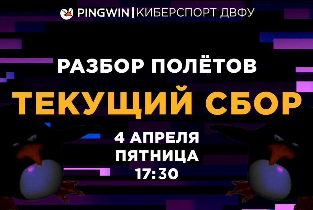 PINGWIN. Разбор полетов.