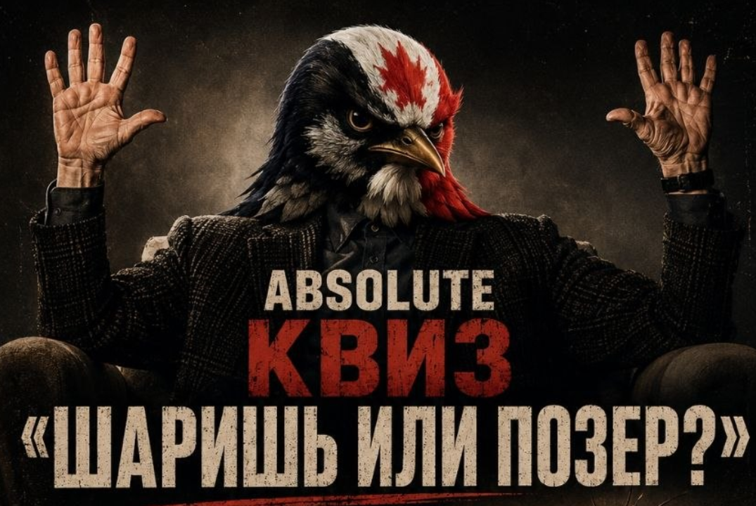Мемный квиз "Шаришь или позер"