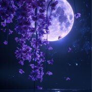 Павлова Кристина Алексеевна Павлова Кристина Алексеевна