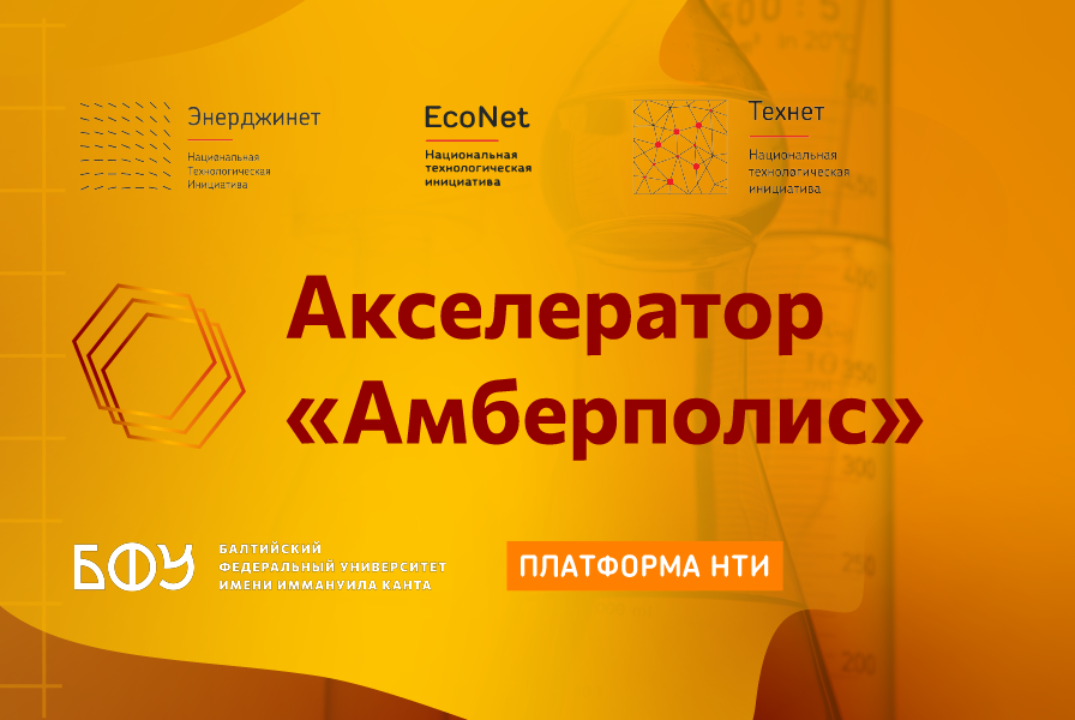 Образовательный блок акселерационной программы | АП