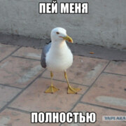 Иванов Карл Иванов Карл