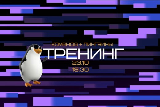 Тренинг на командообразование PINGWIN