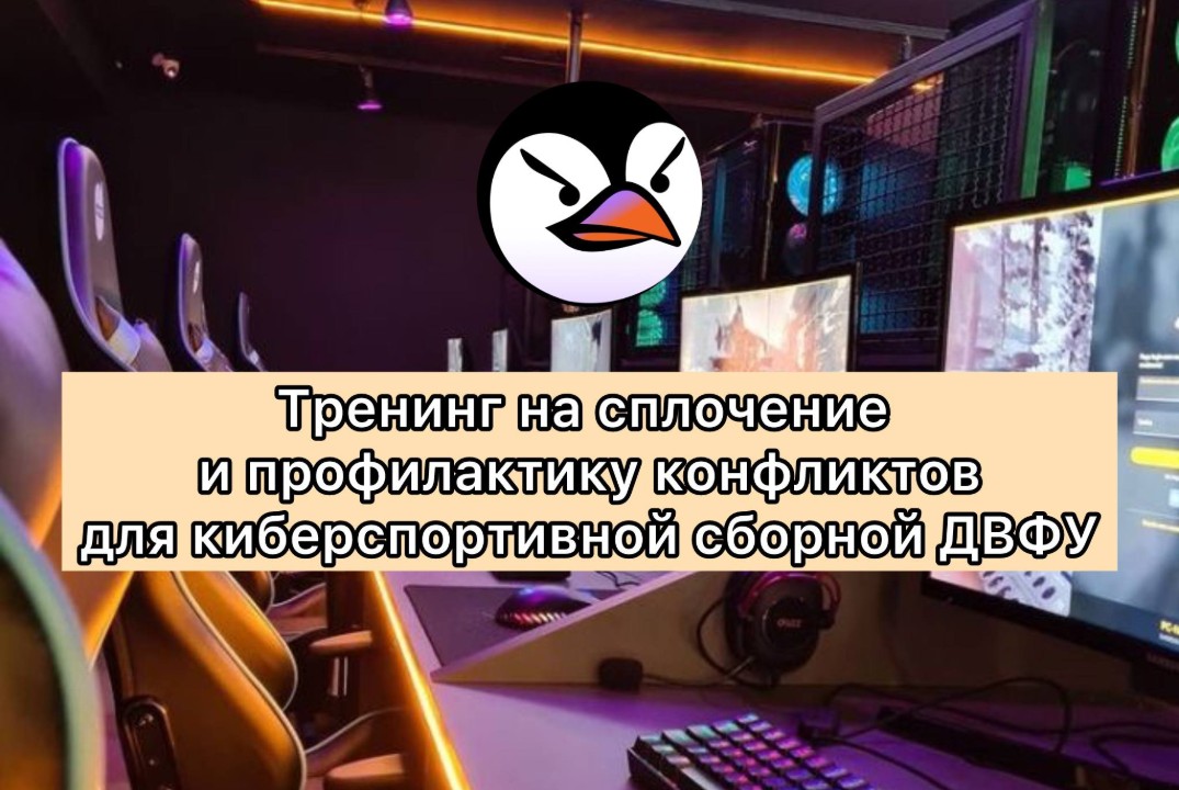 Тренинг на сплочение и профилактику конфликтов киберспортивной сборной ДВФУ