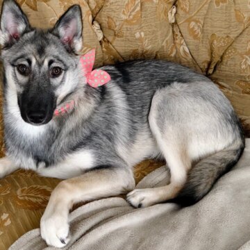 Глеб Юрьевич Гуськов