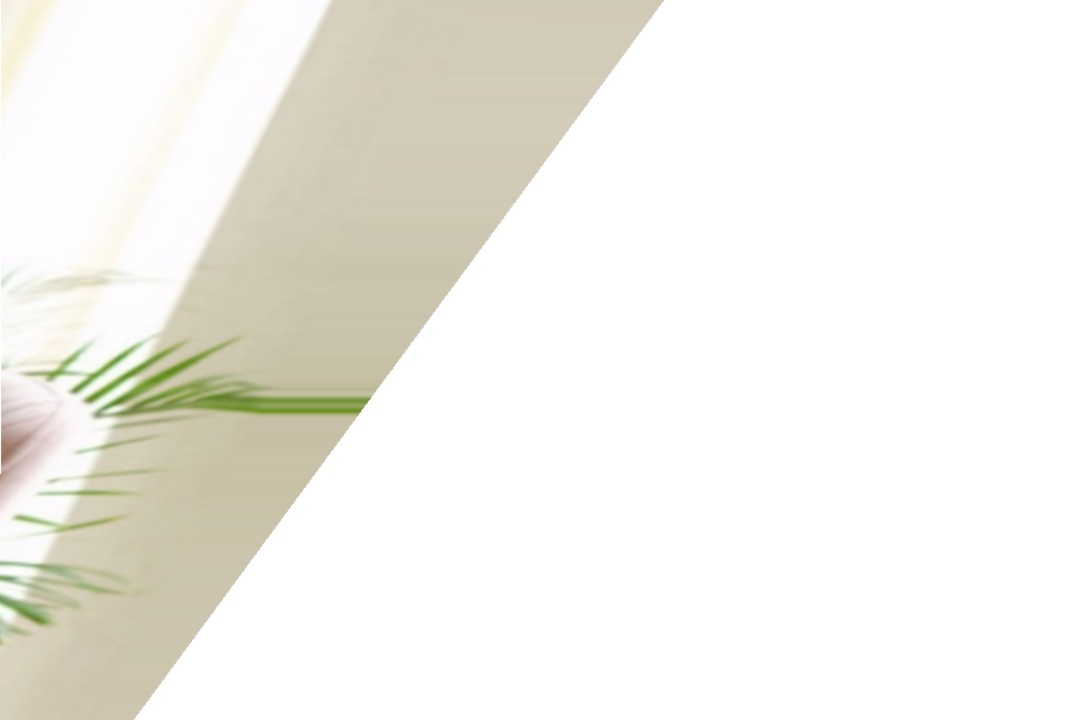 Весенняя ревизия: наводим порядок в делах и голове. 1я вс...