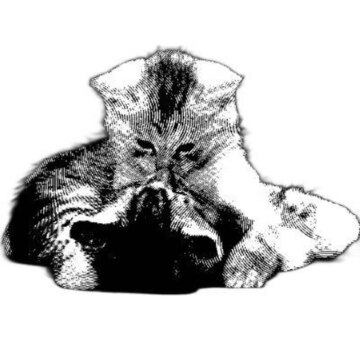 Альчагирова Согдиана Мартинована Альчагирова Согдиана Мартинована