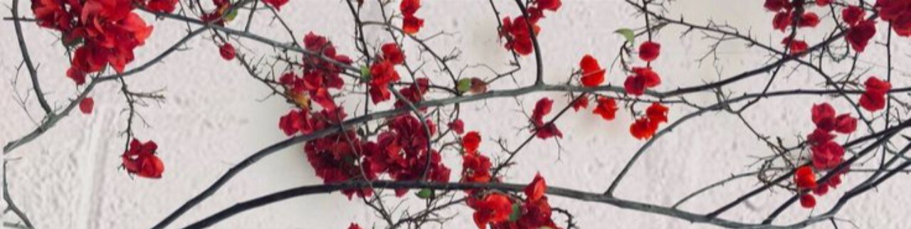 Обложка профиля