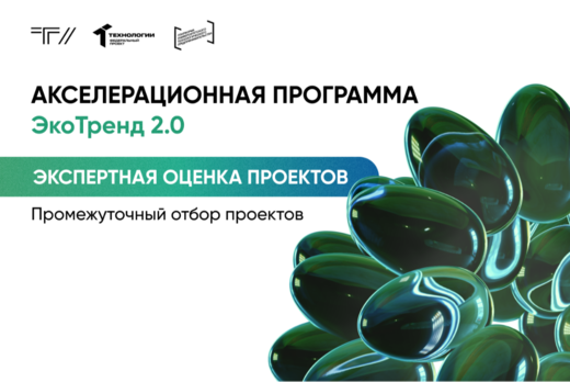 Экспертная оценка проектов. Промежуточный отбор проектов.