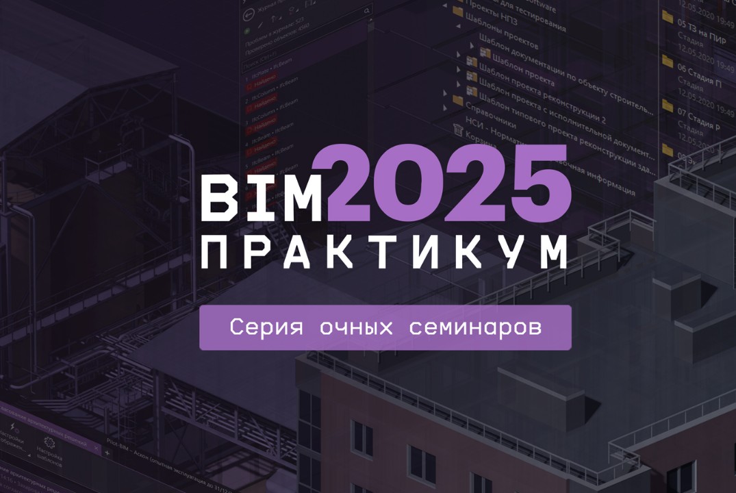 BIM-практикум 2025