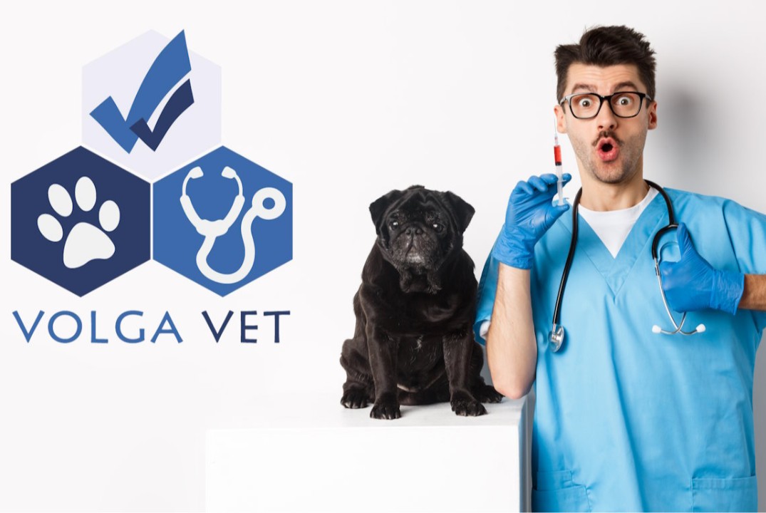 Поволжский ветеринарный форум Volga Vet 4 декабря 2025