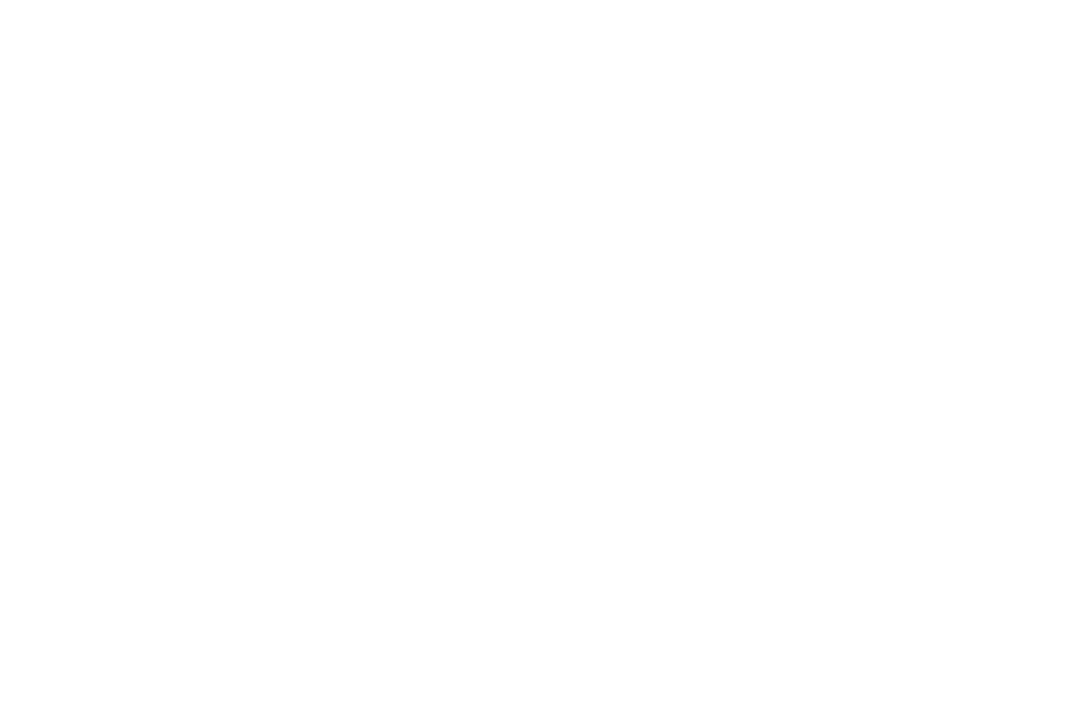 Стартап Академия Сколково