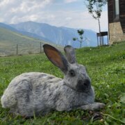 Феофилактова Кира Сергеевна