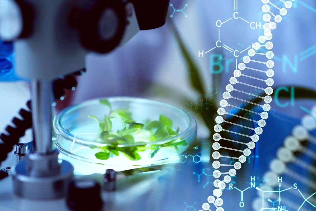 Встреча с представителями АО "Р-Фарм"