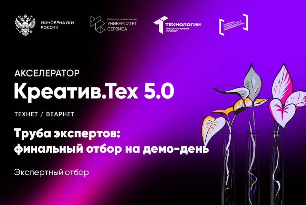 Экспертный отбор "Труба экспертов: финальный отбор на демо-день"