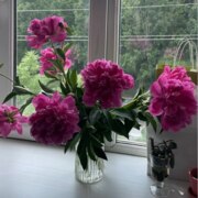 Магомедова Шахри Абдуллаевна Магомедова Шахри Абдуллаевна