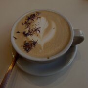 Касаткина Екатерина