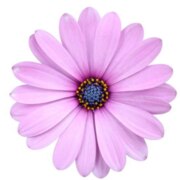 Ушакова Юлия Леонидовна Ушакова Юлия Леонидовна