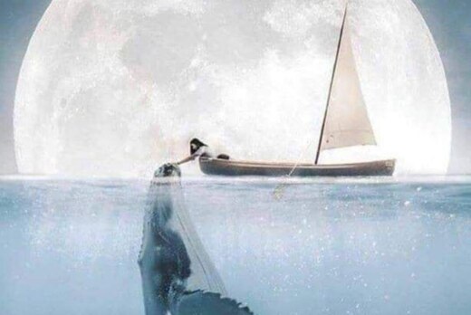 Встреча группы сообщества PRO Женщин