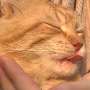 Хадаева Марха Рамзановна