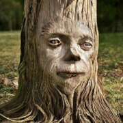 Дубовый Пень Дубовый Пень